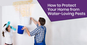 How to repair water leaks